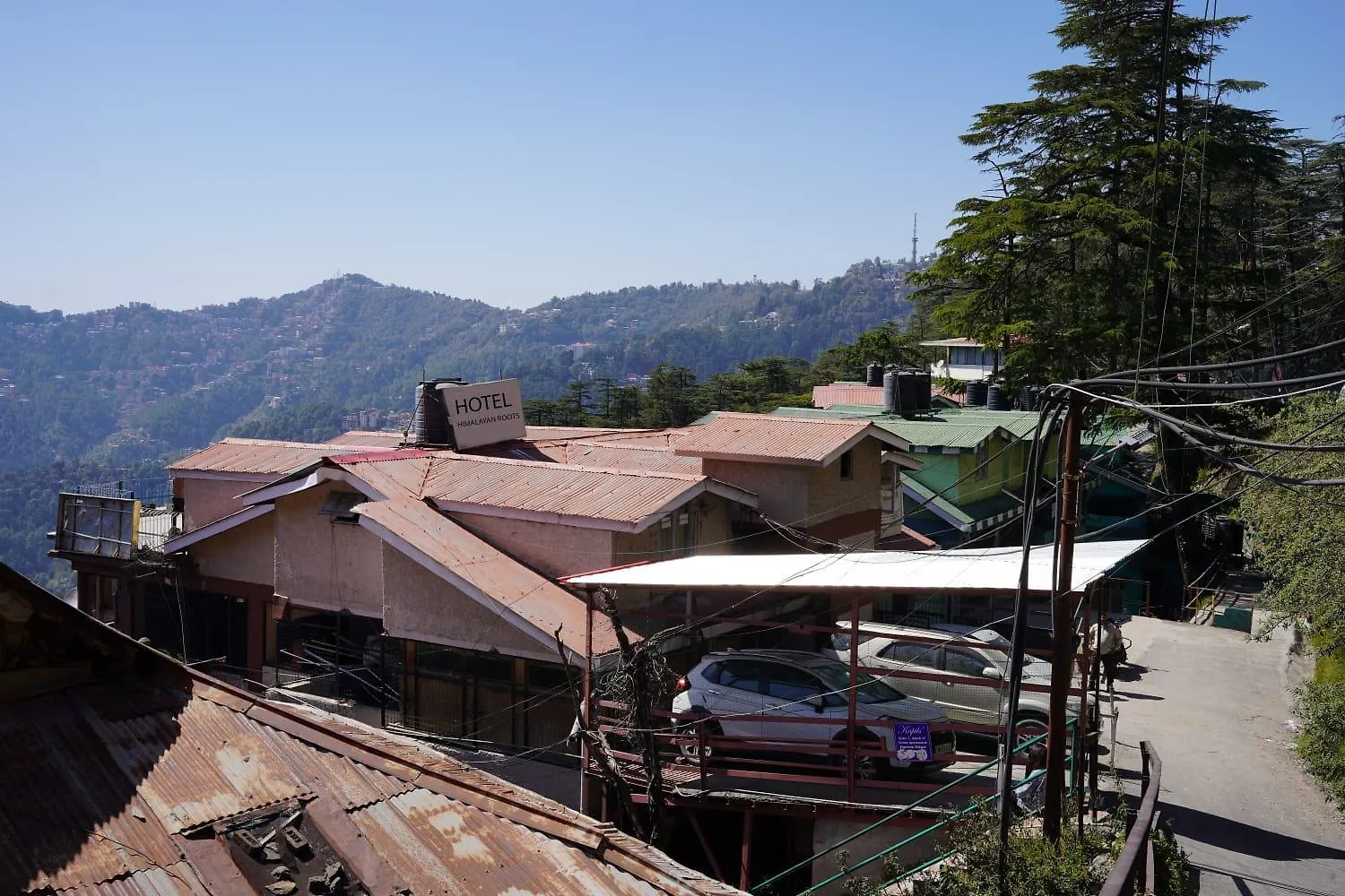 Himalayan Roots Bed & Breakfast Shimla 0*,